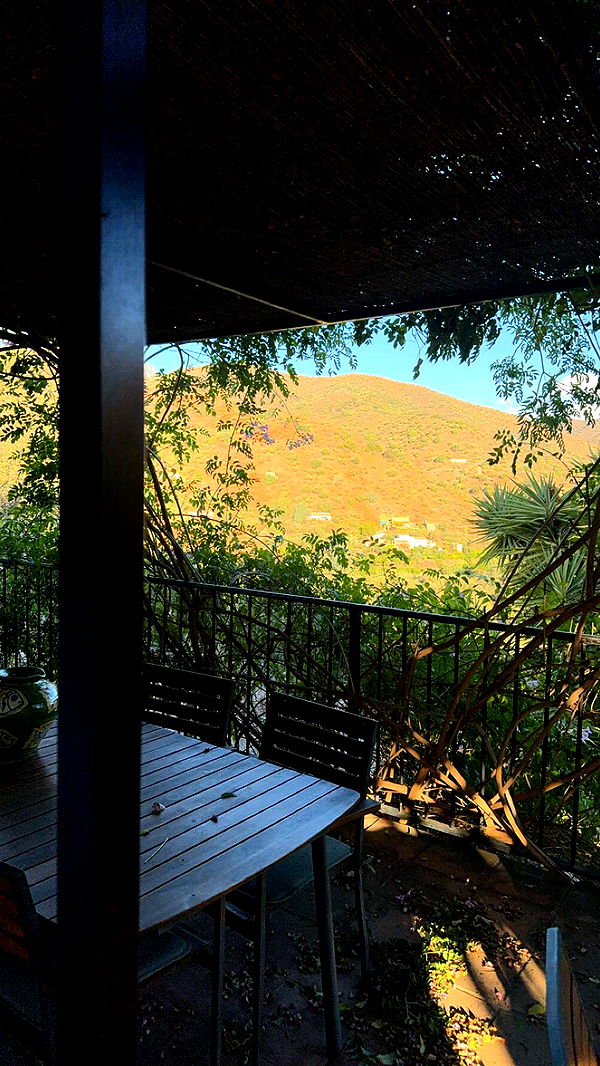 mathilda_bergs image ~ Altpins