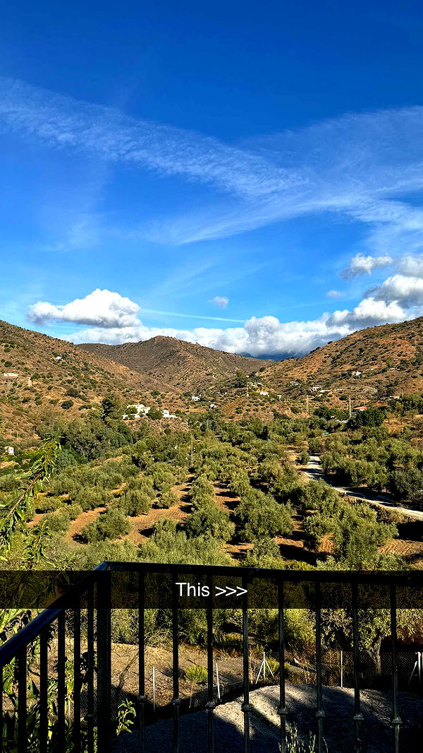 mathilda_bergs image ~ Altpins