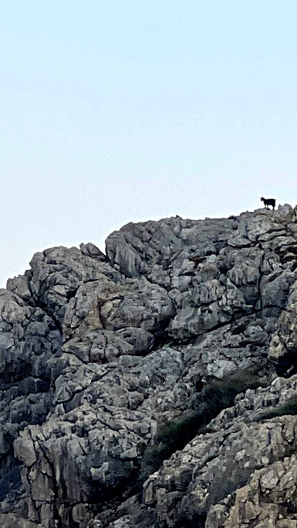 mathilda_bergs image ~ Altpins