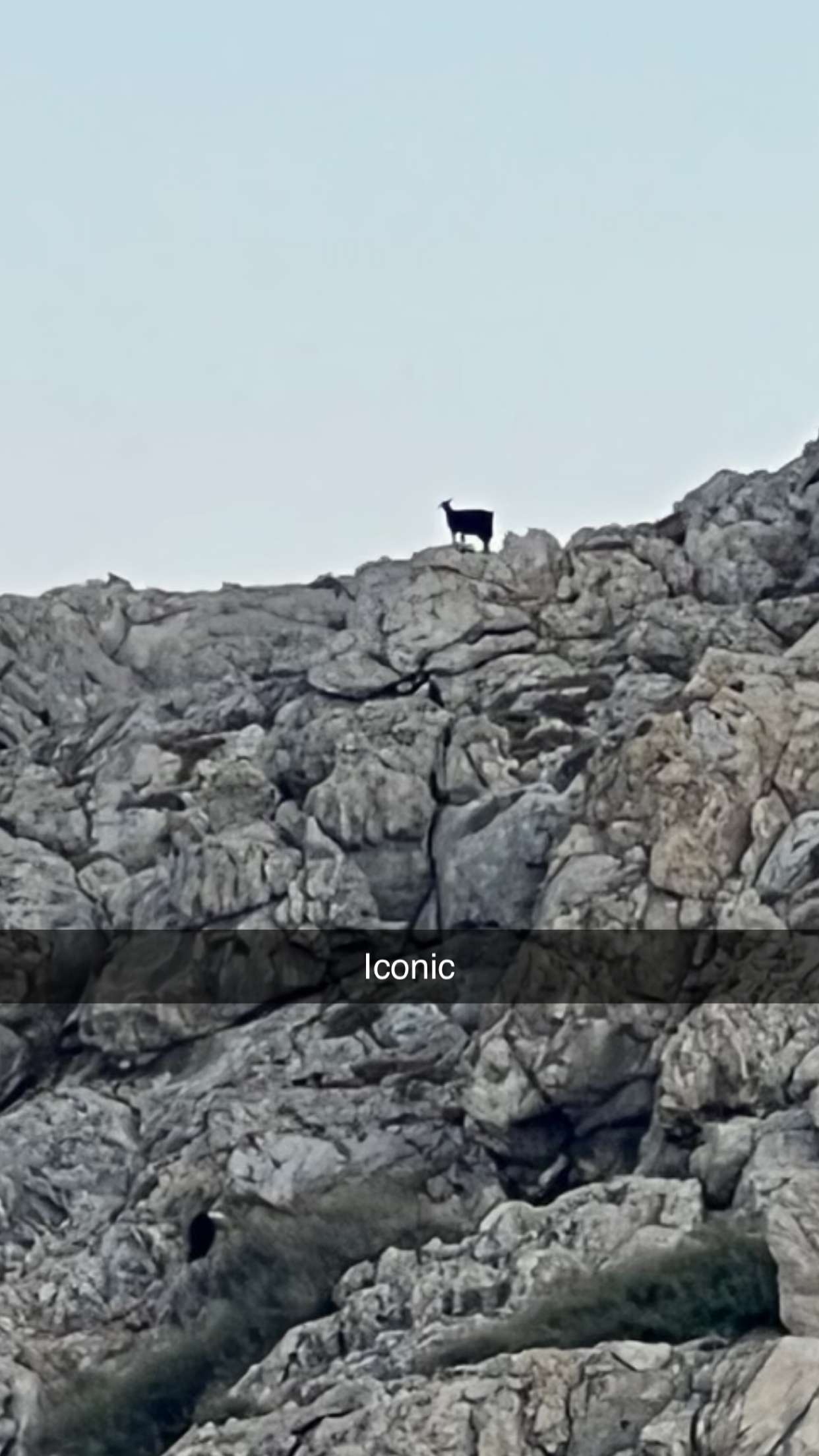 mathilda_bergs snapchat image archive image