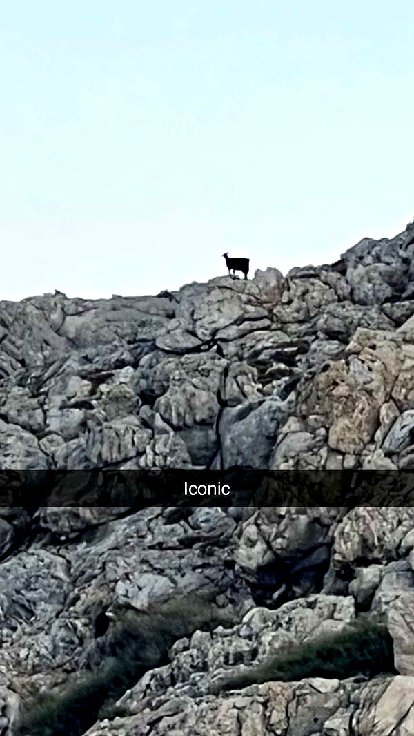 mathilda_bergs image ~ Altpins