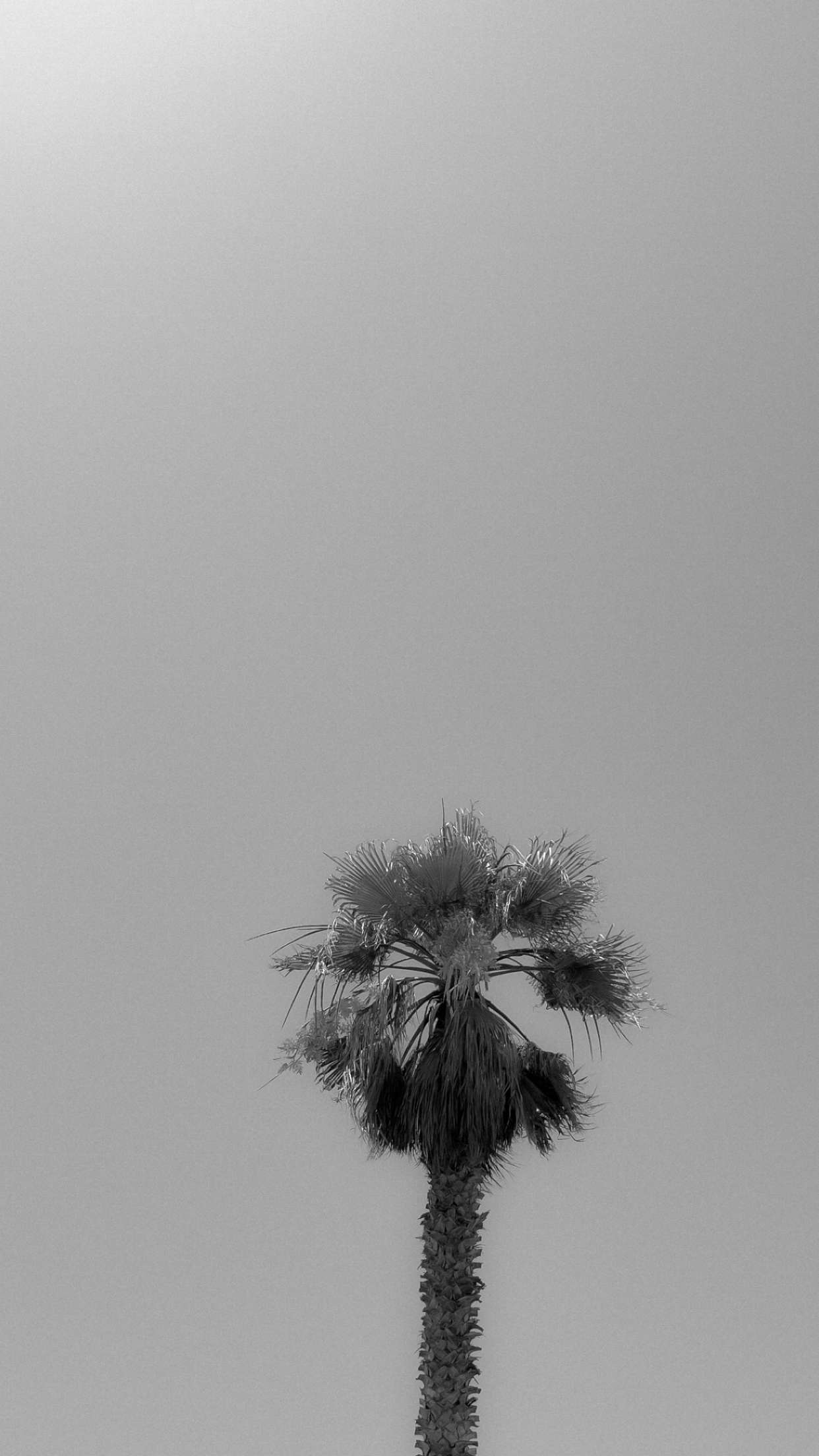 mathilda_bergs snapchat image archive image