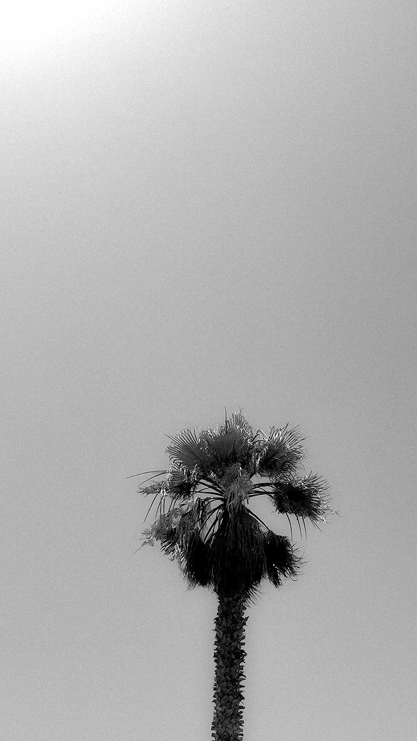 mathilda_bergs image ~ Altpins