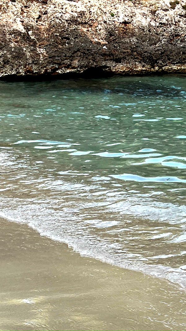 mathilda_bergs image ~ Altpins