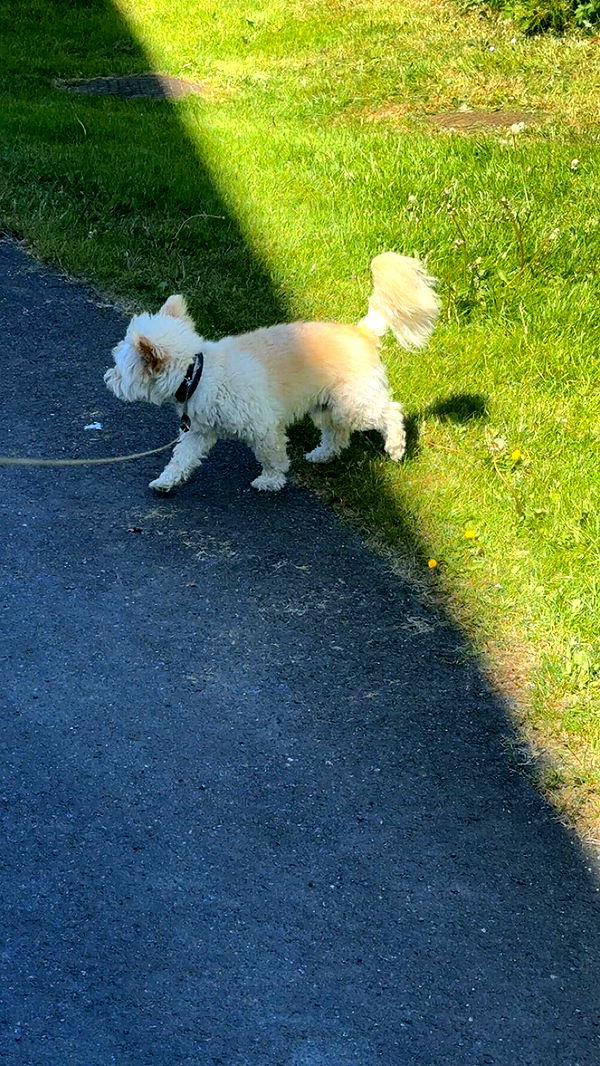 mathilda_bergs image ~ Altpins