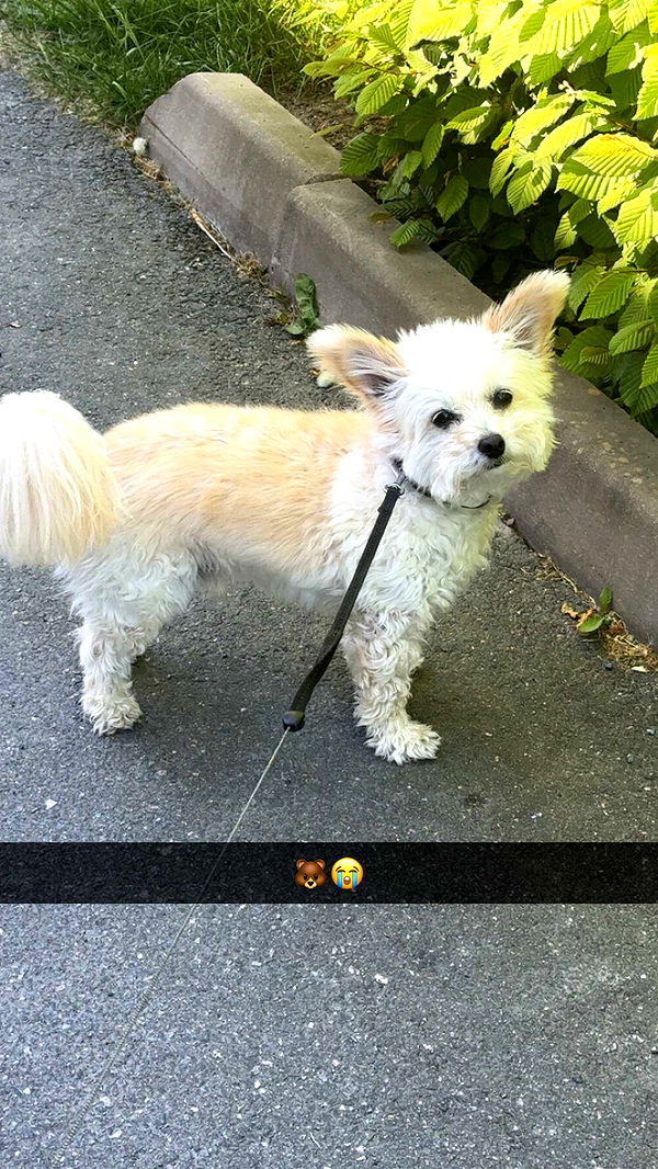 mathilda_bergs image ~ Altpins