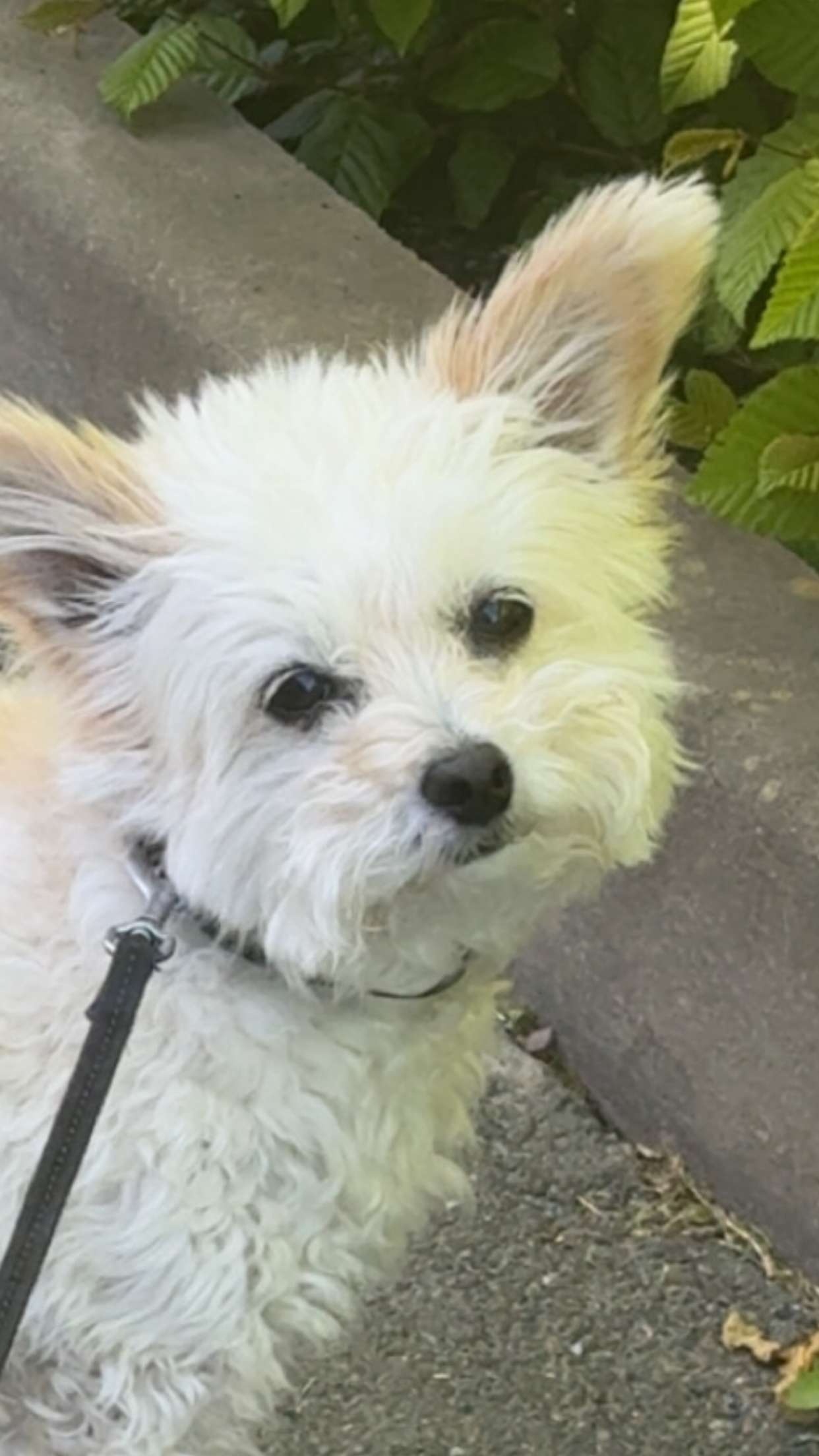 mathilda_bergs snapchat image archive image