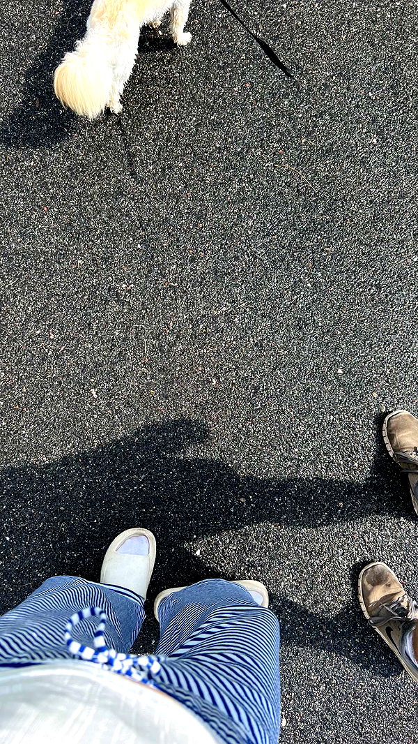 mathilda_bergs image ~ Altpins