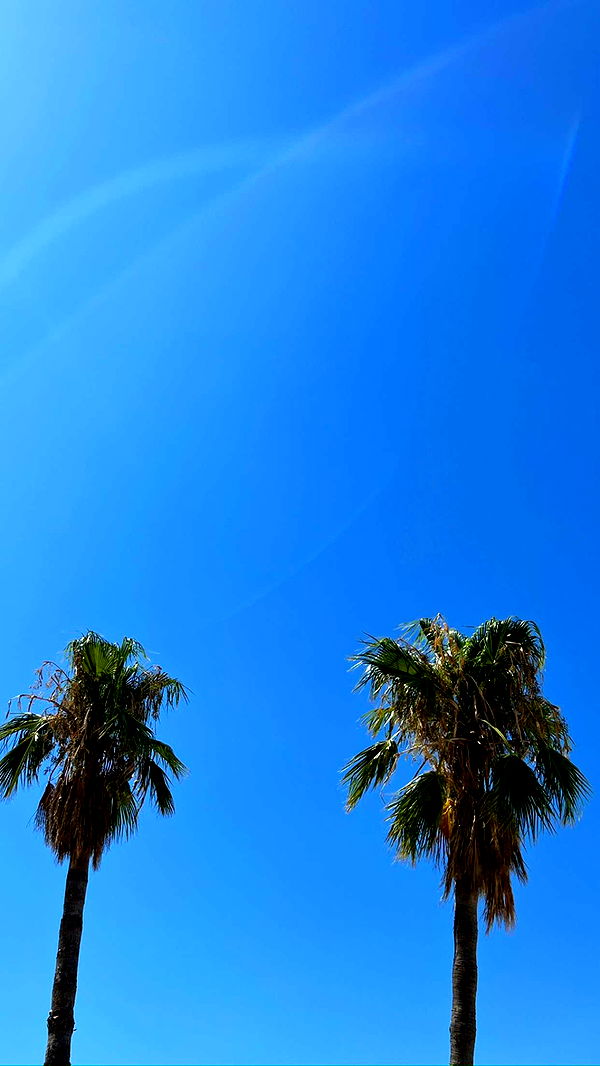 mathilda_bergs image ~ Altpins