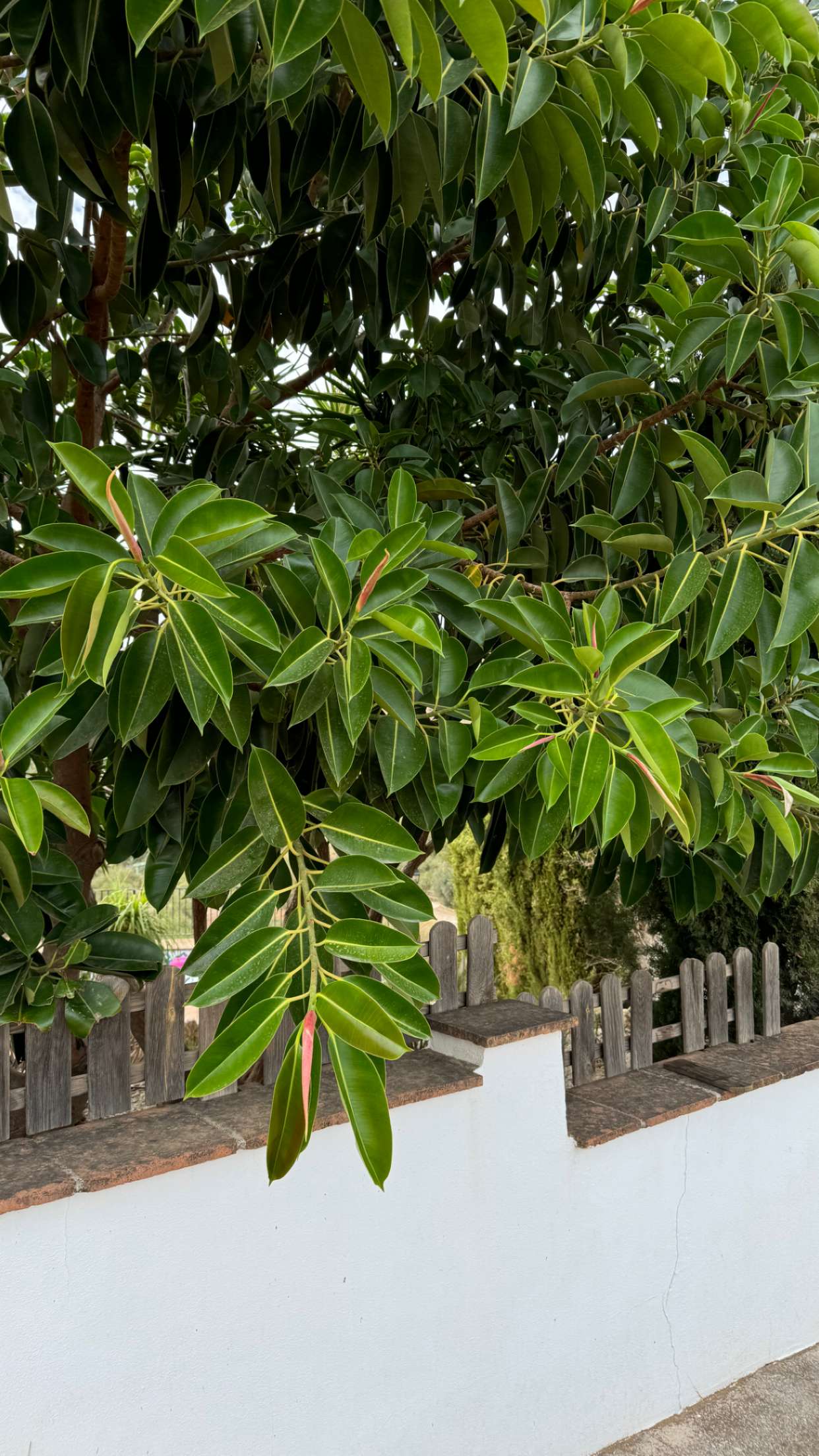 mathilda_bergs snapchat image archive image