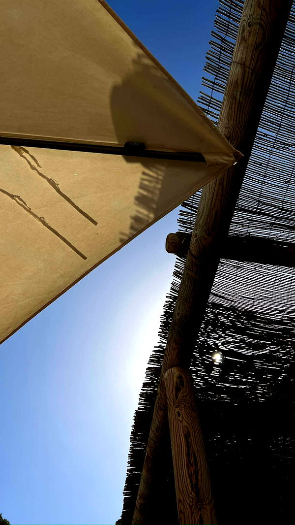 mathilda_bergs image ~ Altpins