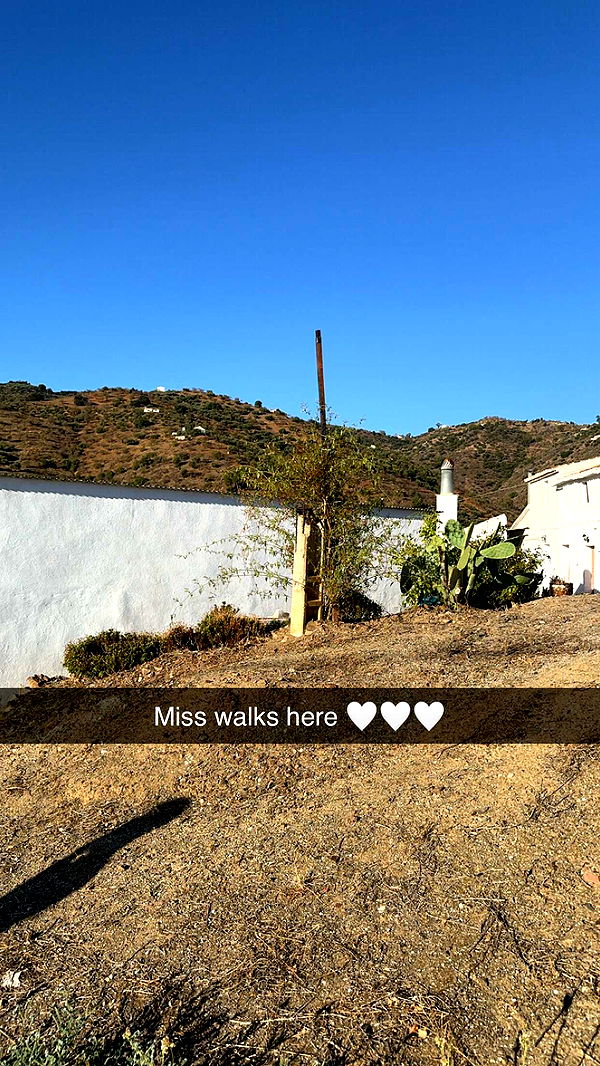 mathilda_bergs image ~ Altpins