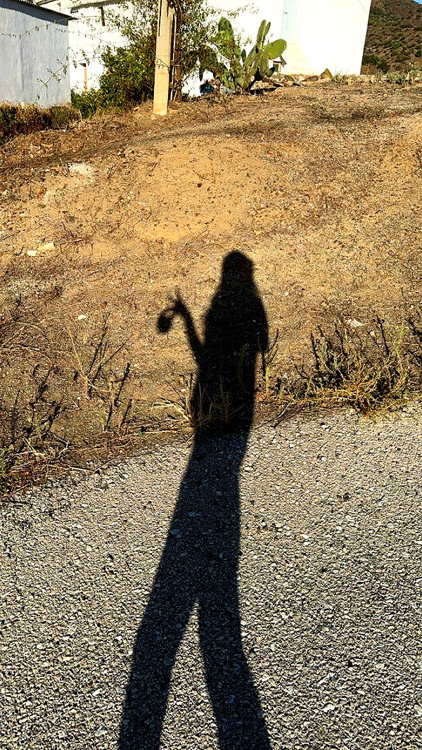 mathilda_bergs image ~ Altpins