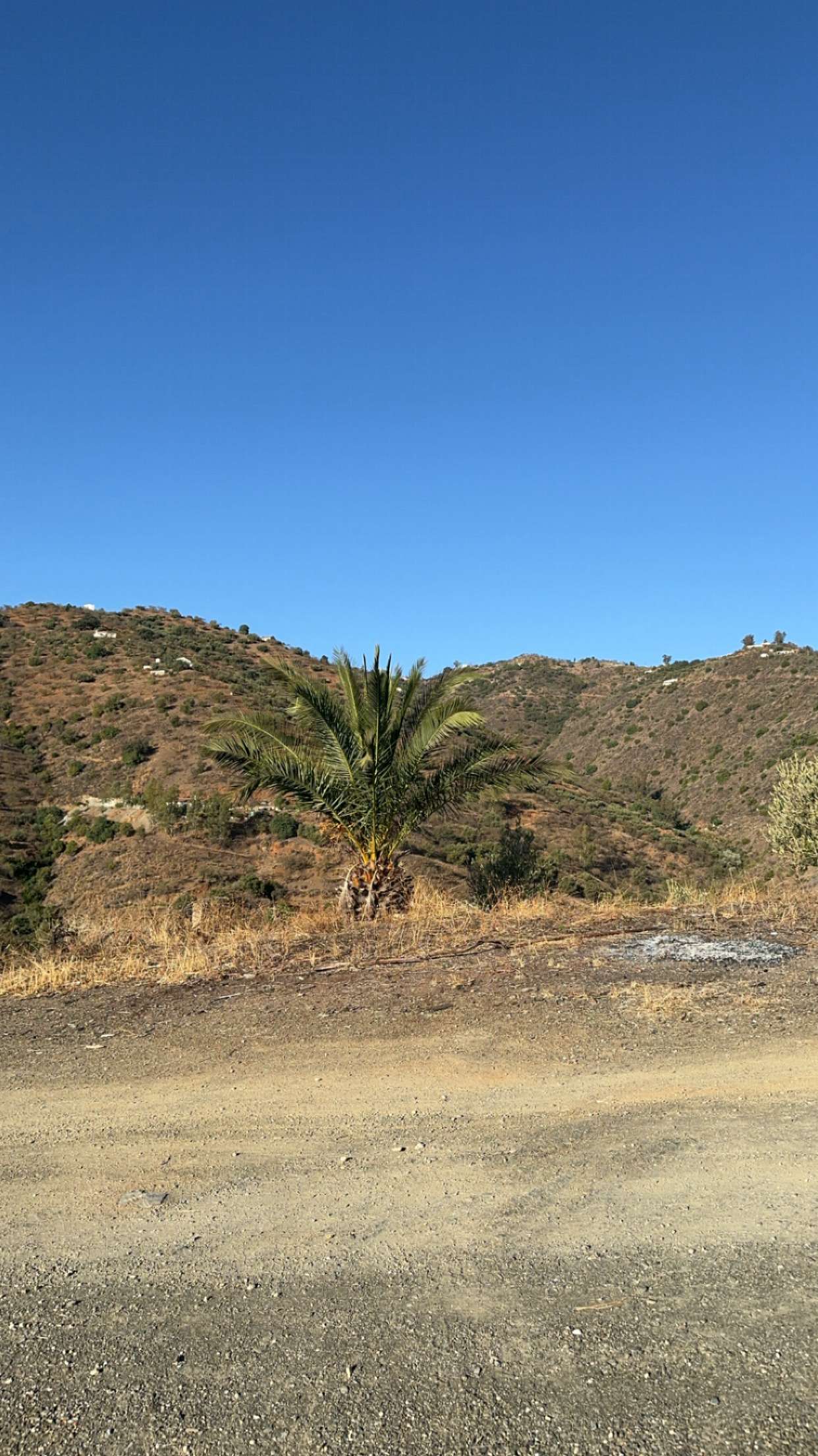 mathilda_bergs snapchat image archive image