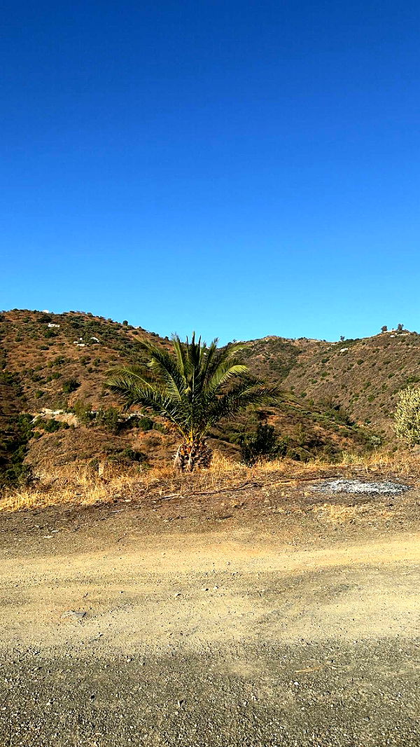 mathilda_bergs image ~ Altpins