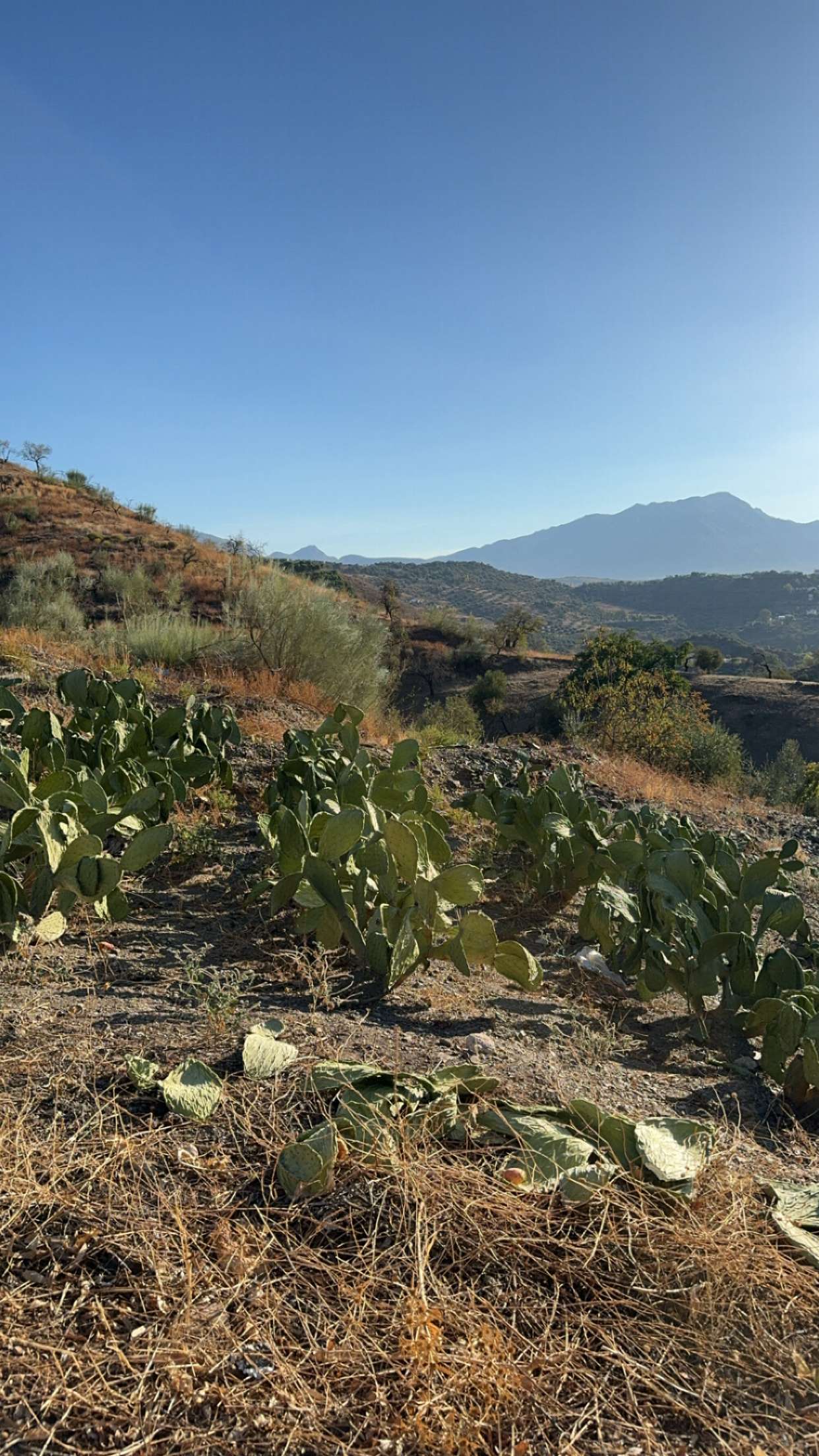 mathilda_bergs snapchat image archive image