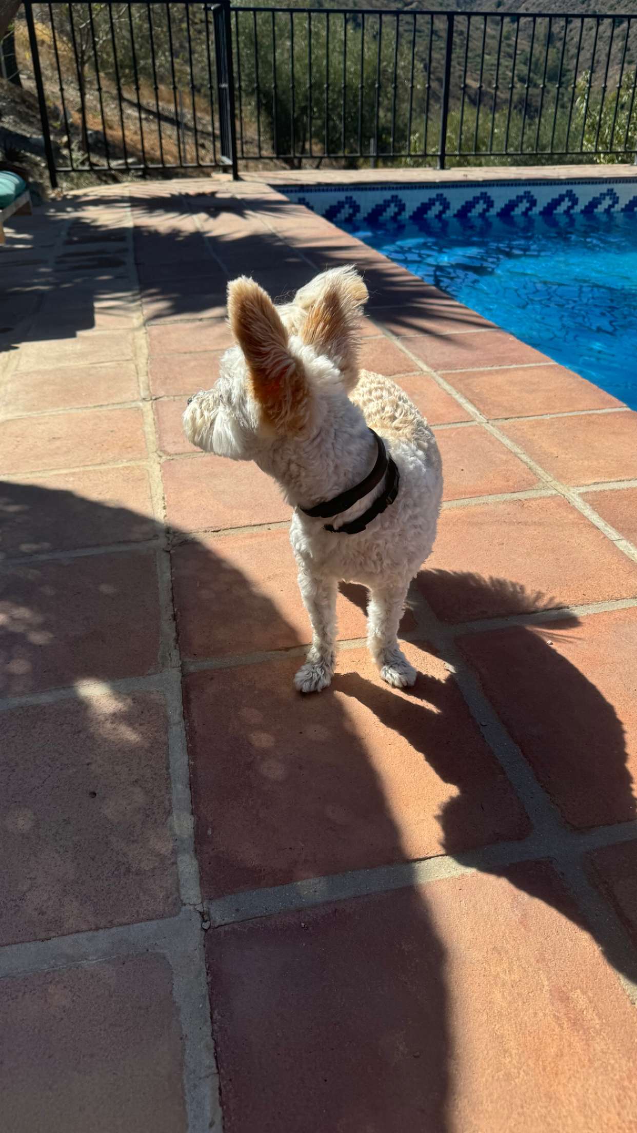 mathilda_bergs snapchat image archive image