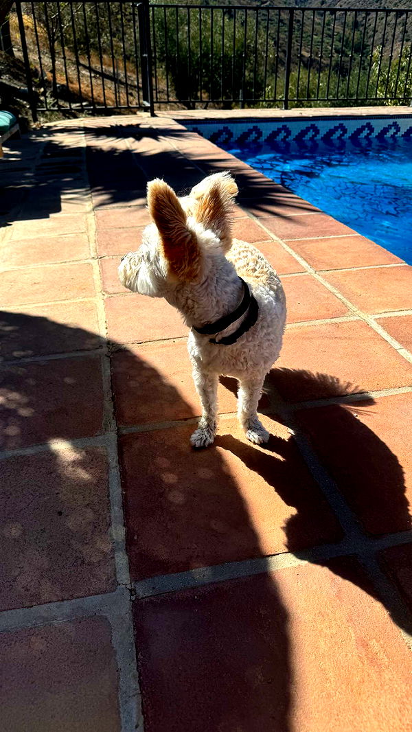 mathilda_bergs image ~ Altpins