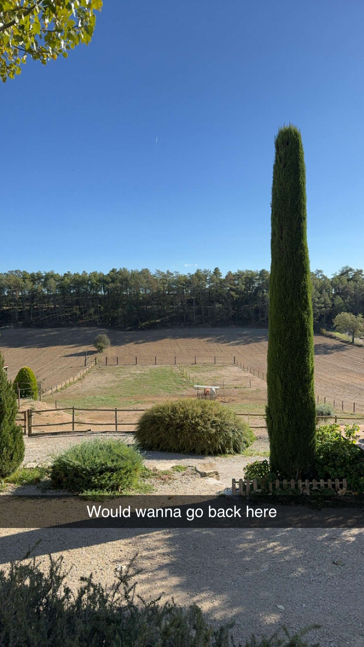 mathilda_bergs snapchat image archive image