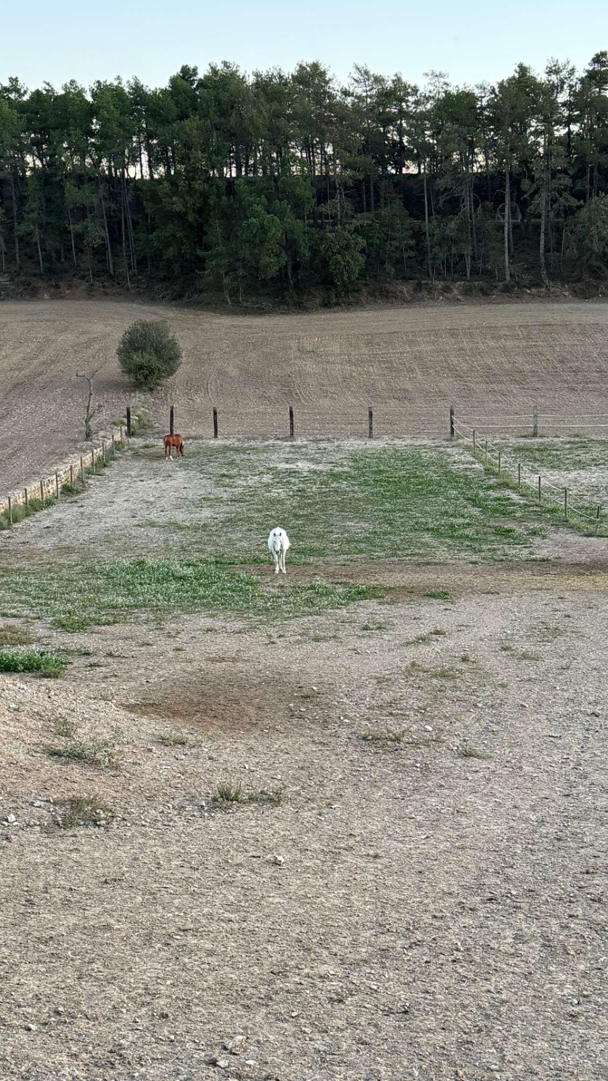 mathilda_bergs snapchat image archive image