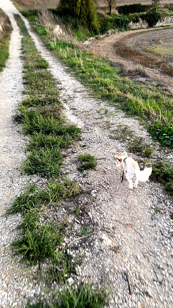 mathilda_bergs image ~ Altpins