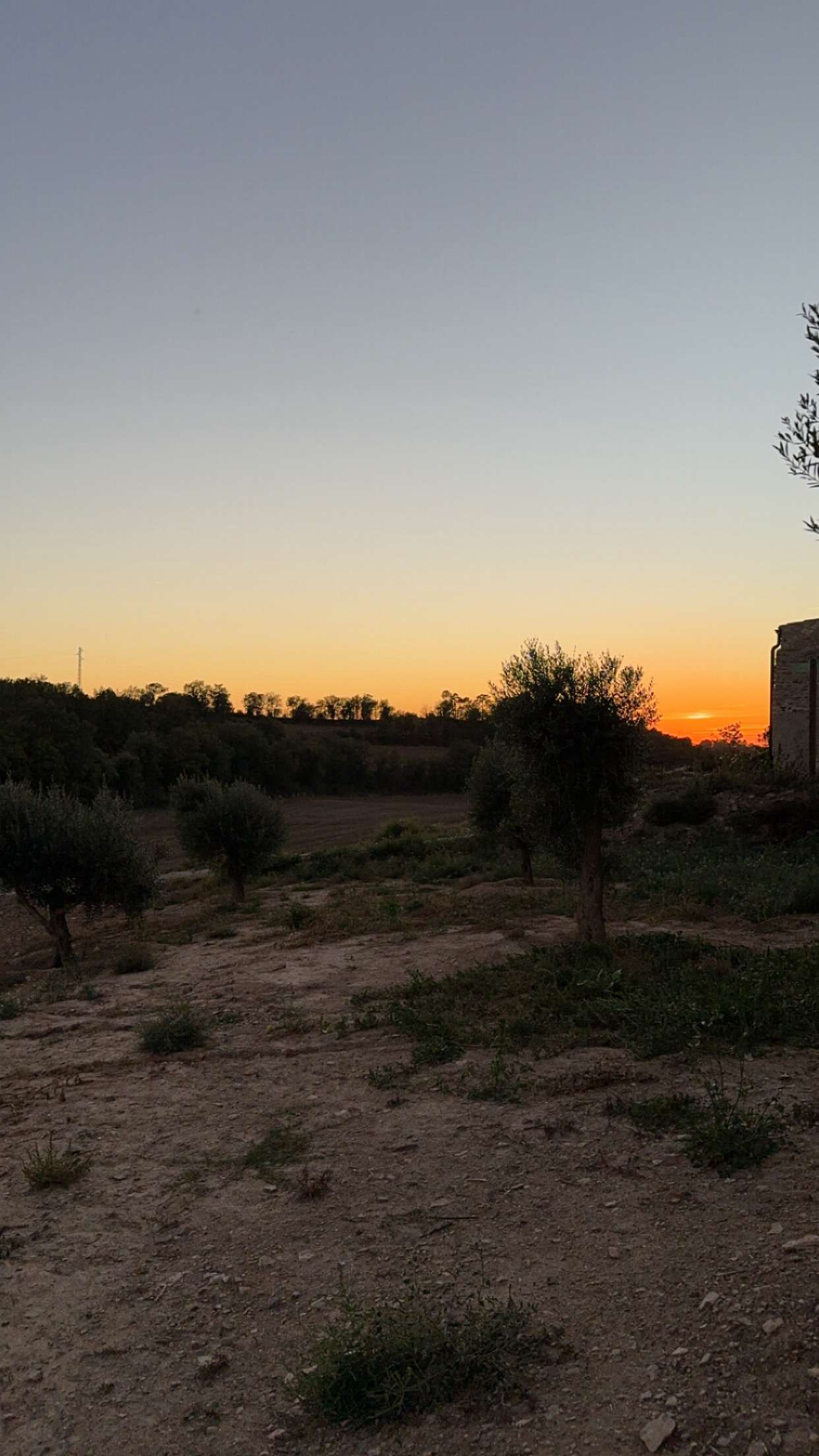 mathilda_bergs snapchat image archive image