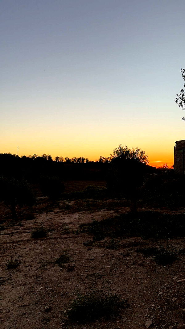 mathilda_bergs image ~ Altpins