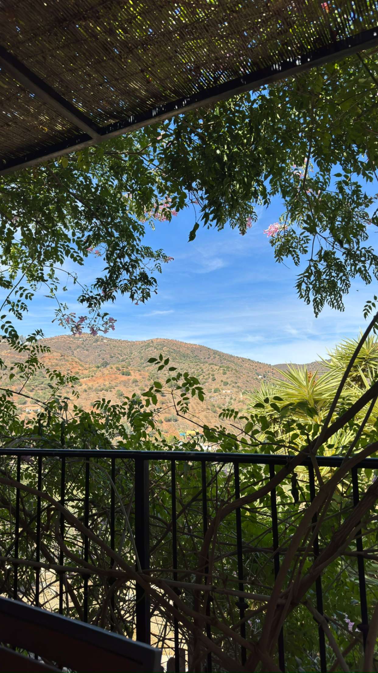 mathilda_bergs snapchat image archive image