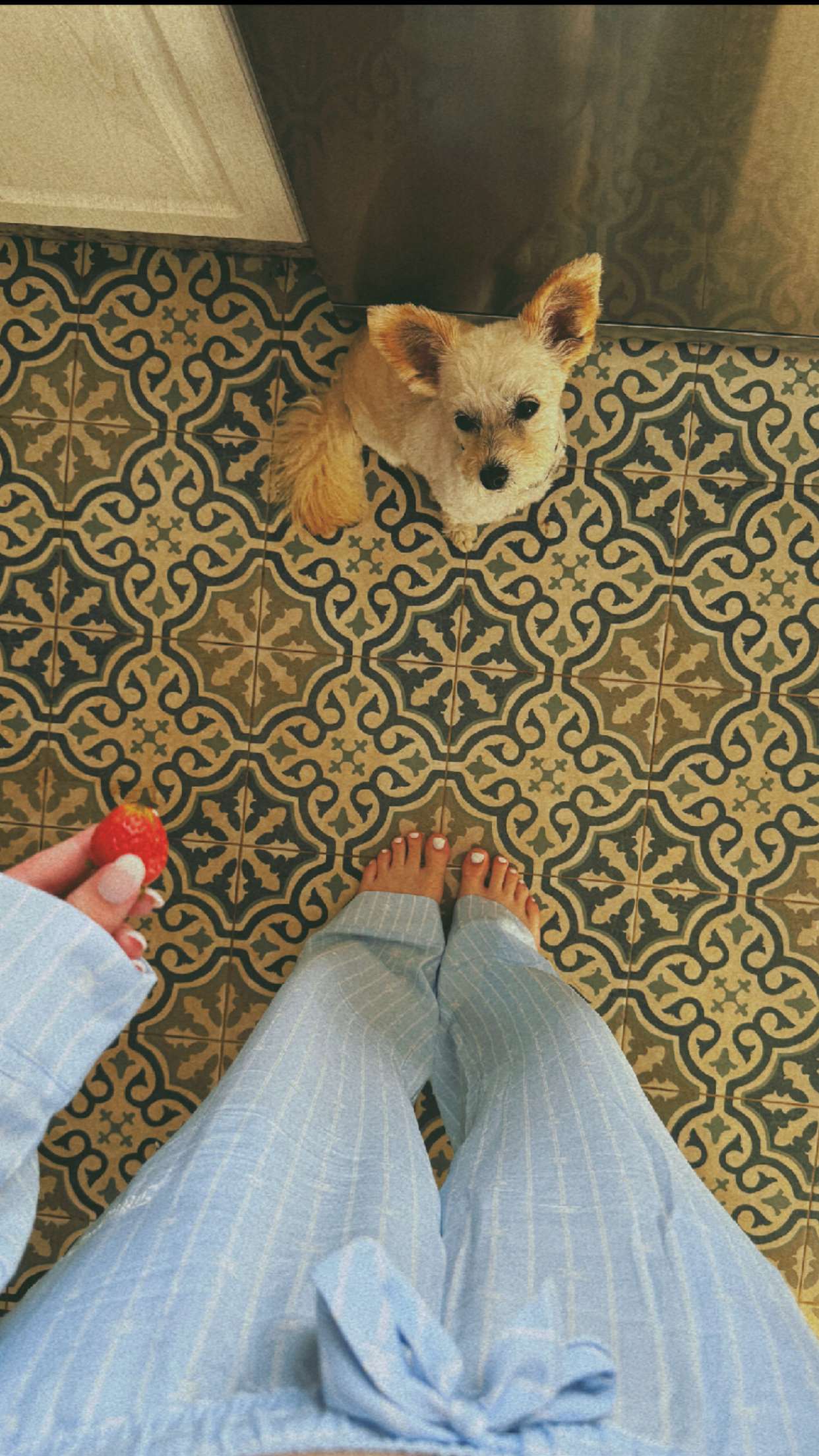 mathilda_bergs snapchat image archive image