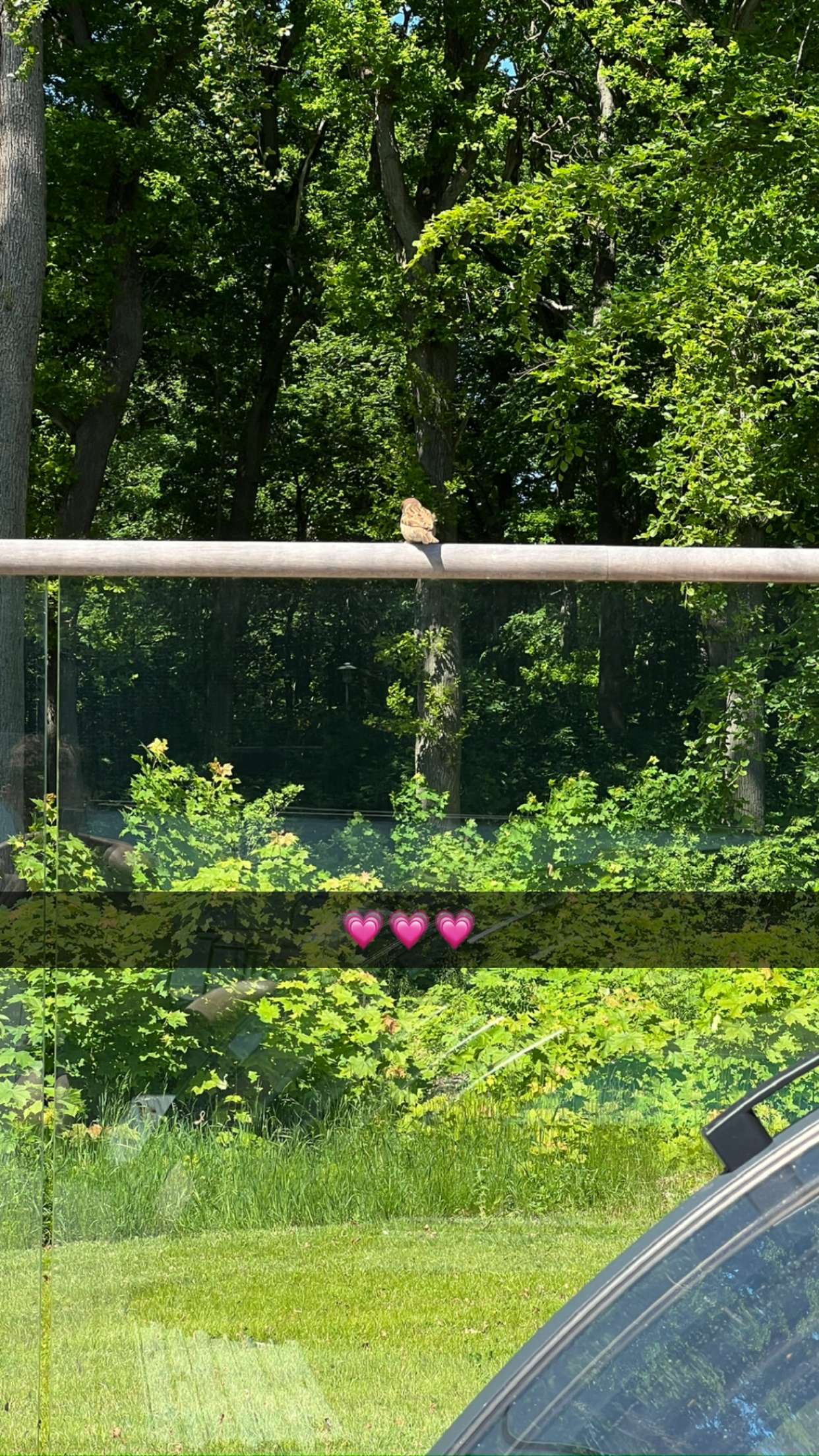 mathilda_bergs snapchat image archive image