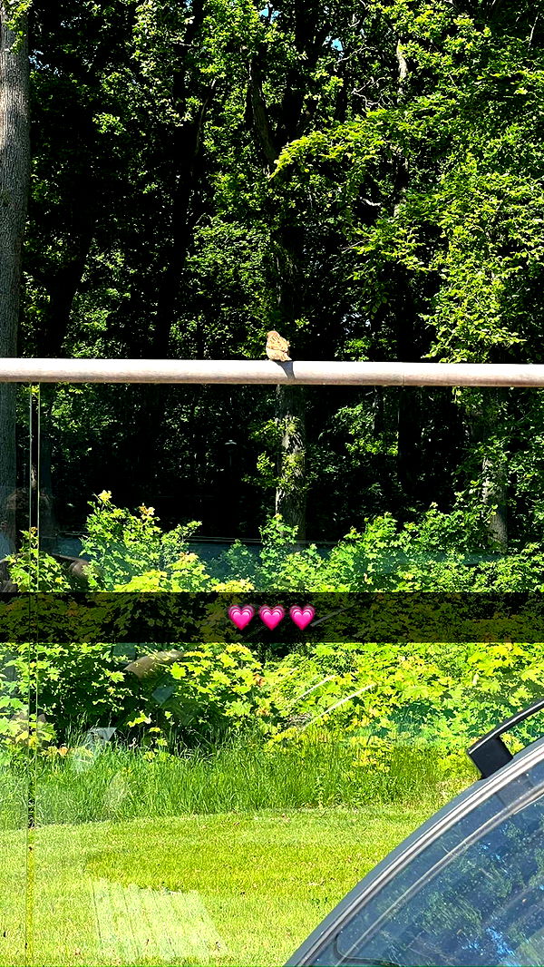 mathilda_bergs image ~ Altpins