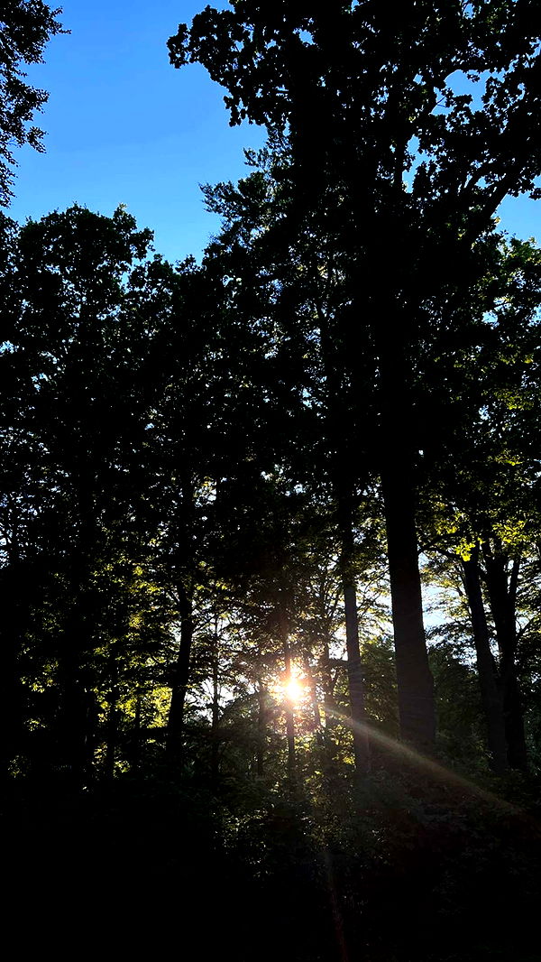 mathilda_bergs image ~ Altpins