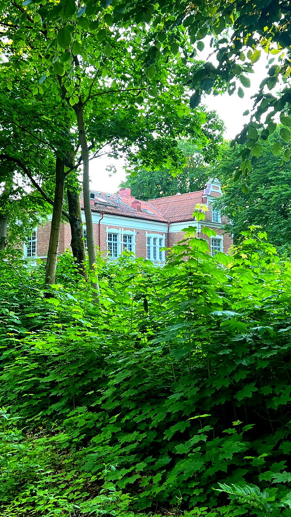 mathilda_bergs image ~ Altpins