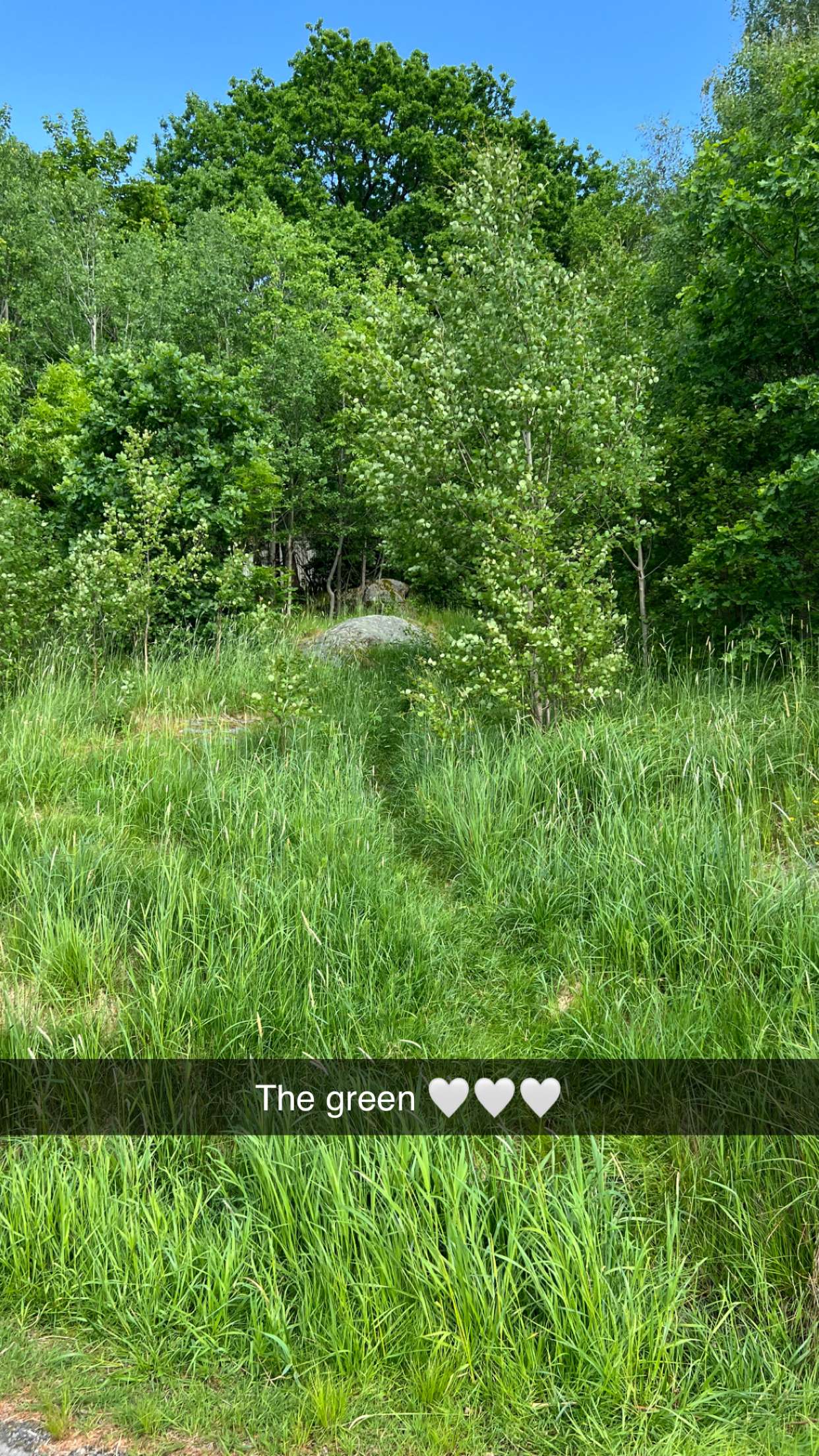 mathilda_bergs snapchat image archive image