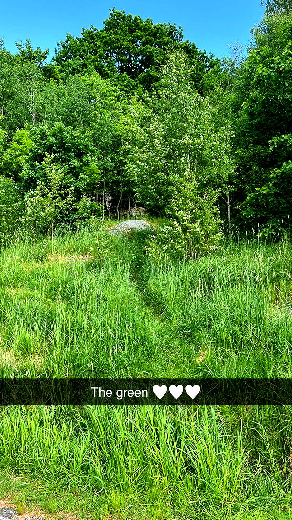 mathilda_bergs image ~ Altpins