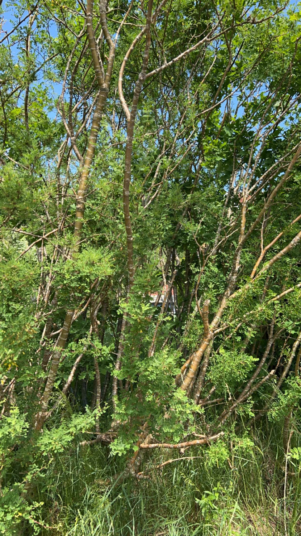 mathilda_bergs snapchat image archive image