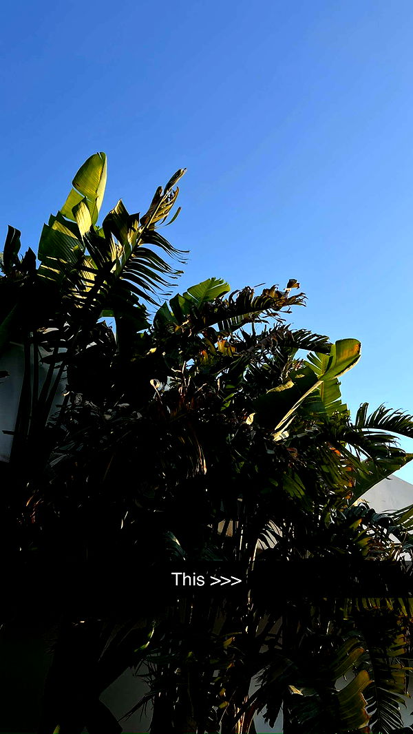 mathilda_bergs image ~ Altpins