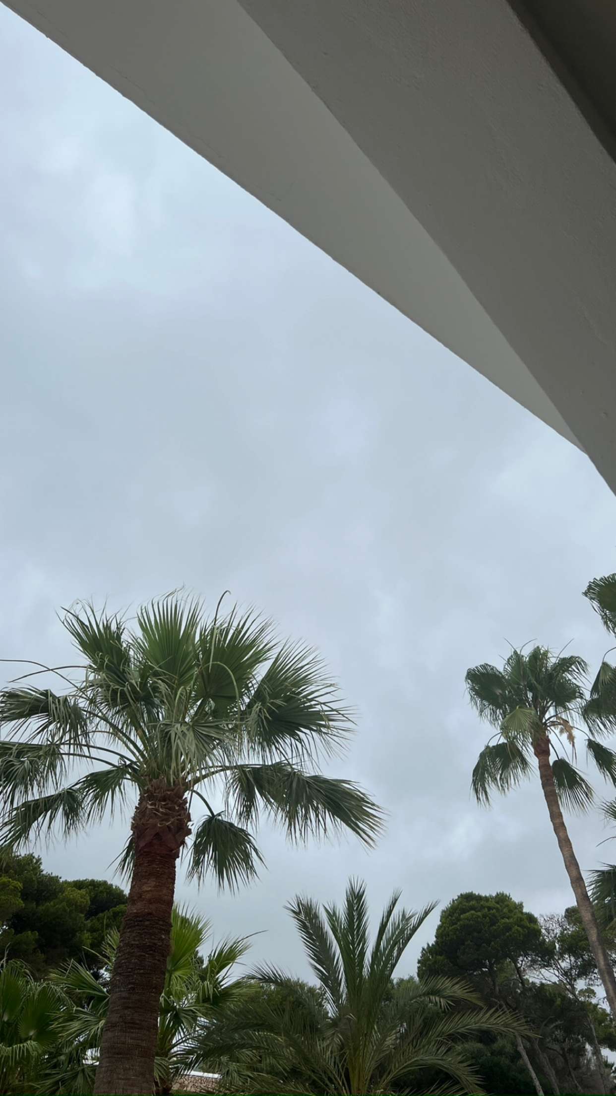 mathilda_bergs snapchat image archive image