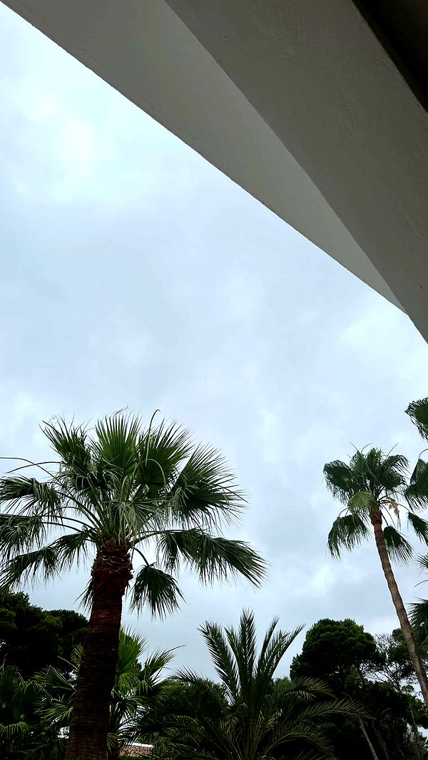 mathilda_bergs image ~ Altpins