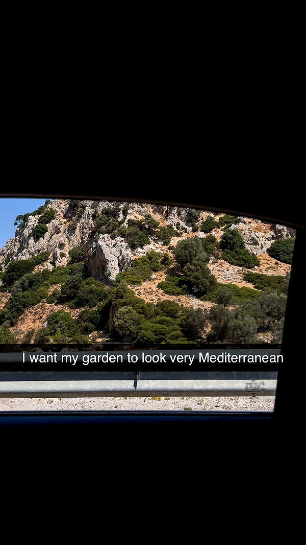 mathilda_bergs image ~ Altpins