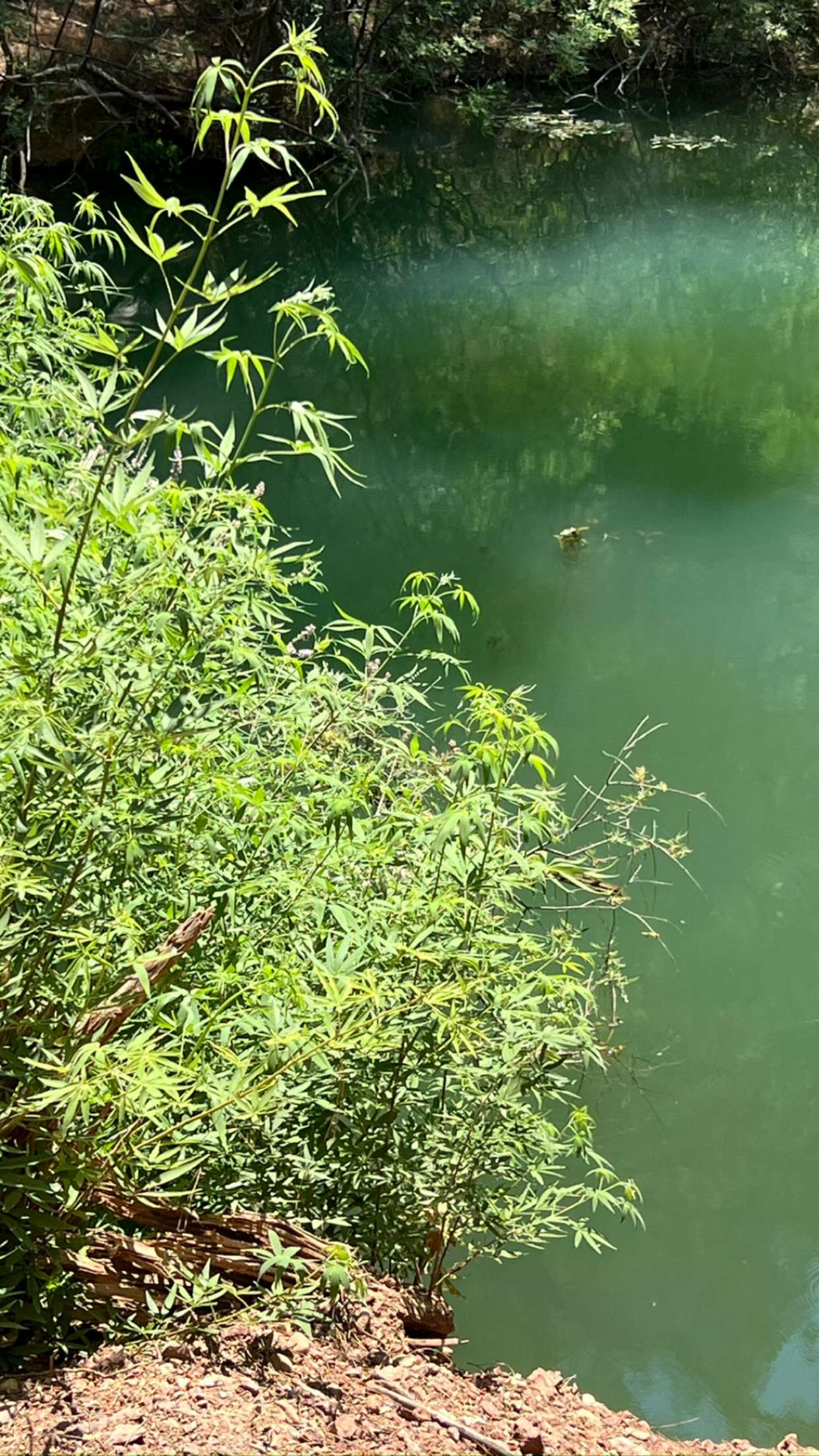 mathilda_bergs snapchat image archive image