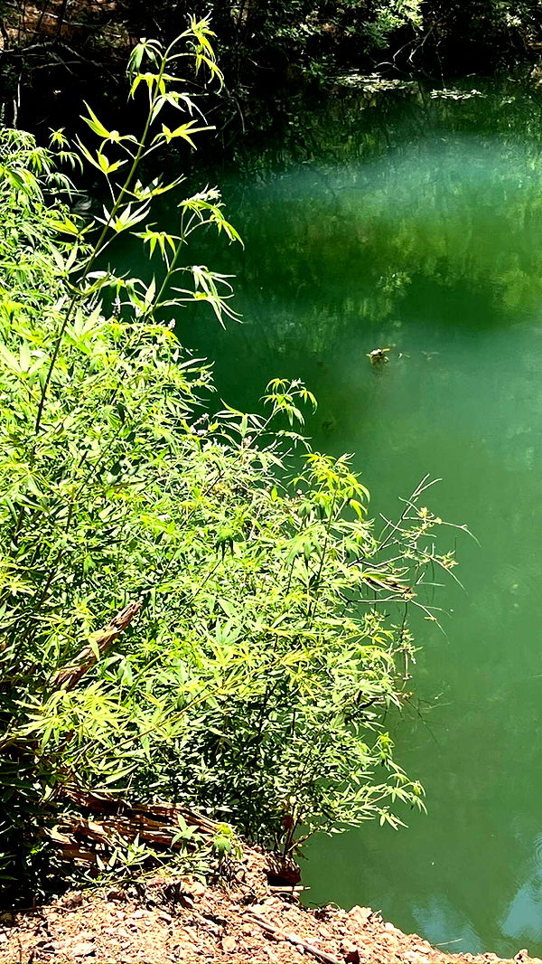 mathilda_bergs image ~ Altpins