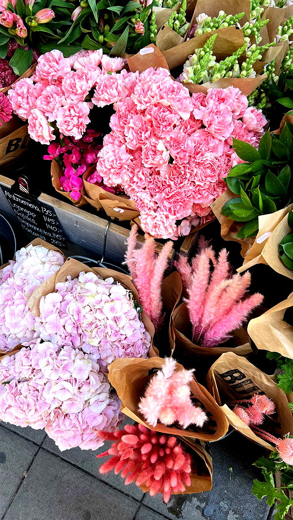 mathilda_bergs image ~ Altpins