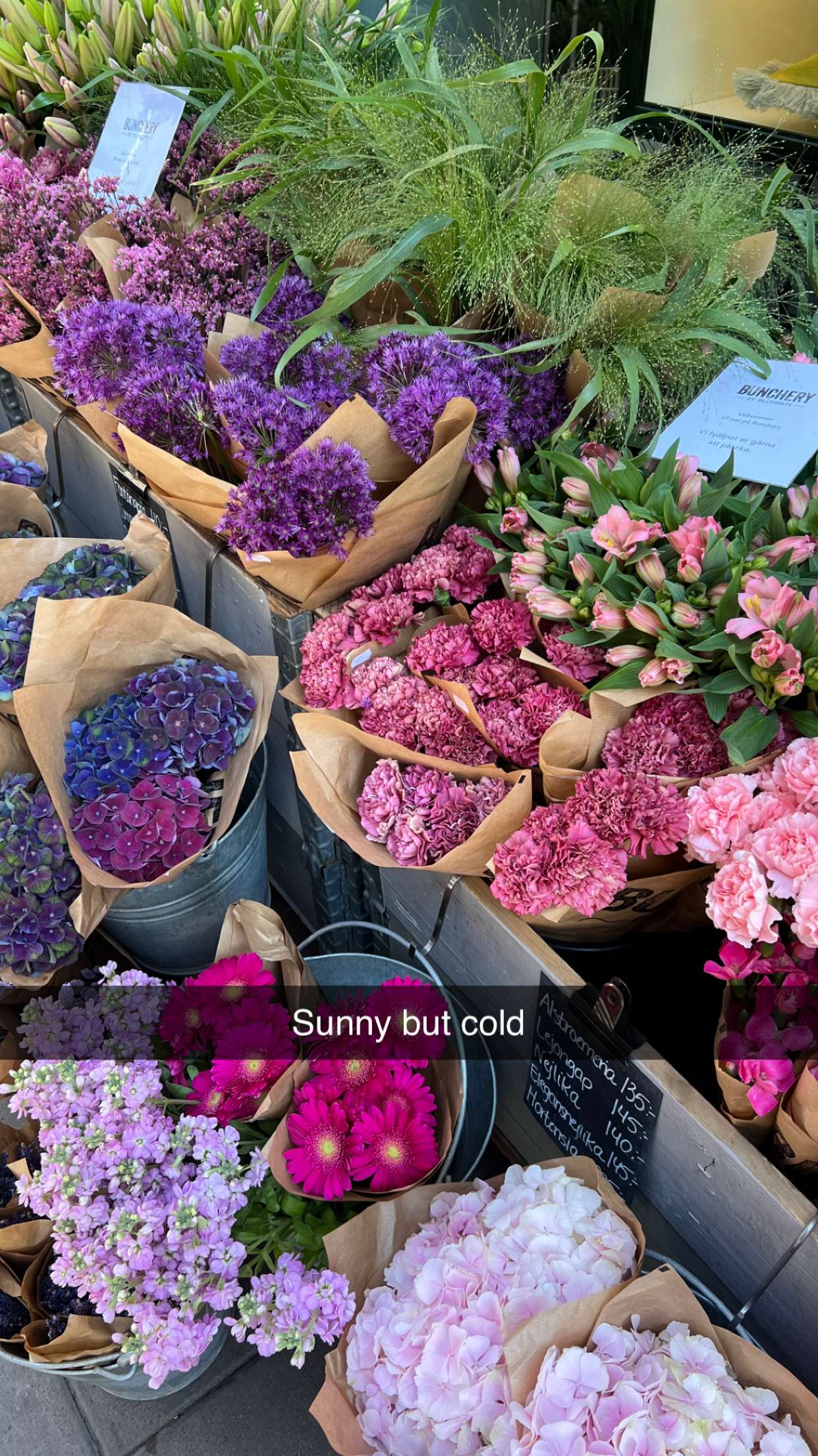 mathilda_bergs snapchat image archive image