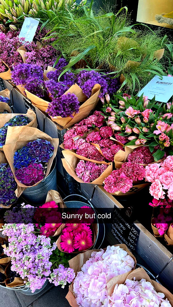 mathilda_bergs image ~ Altpins