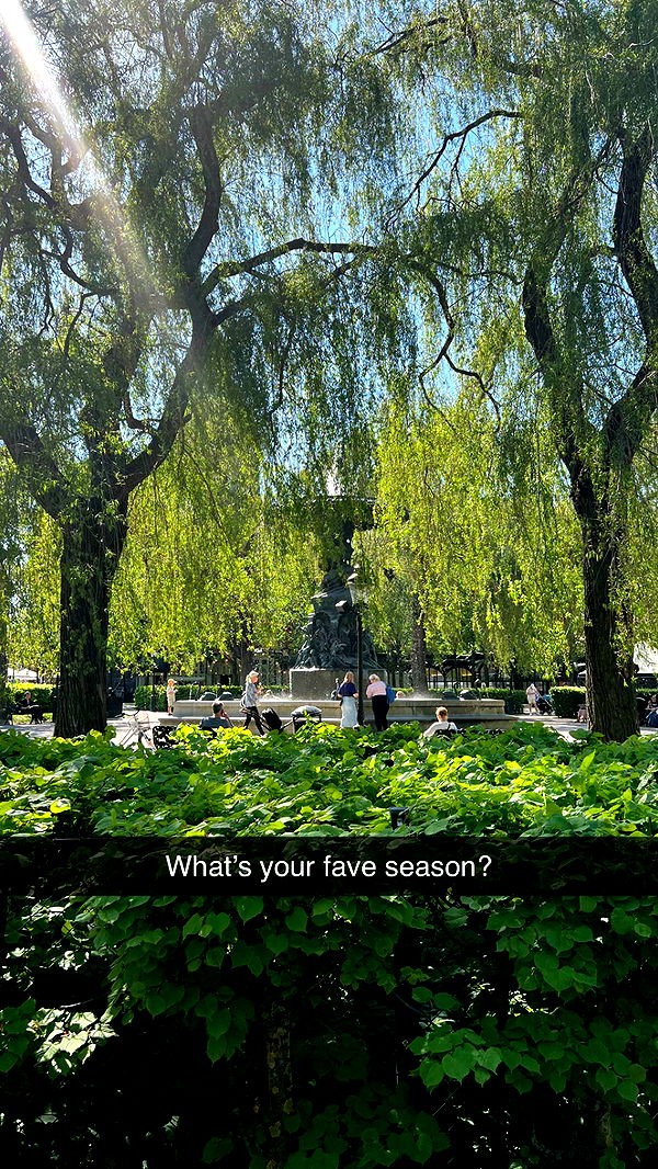 mathilda_bergs image ~ Altpins