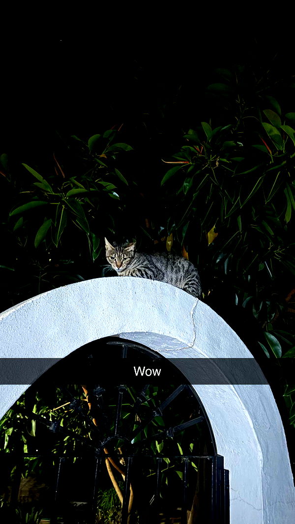 mathilda_bergs image ~ Altpins