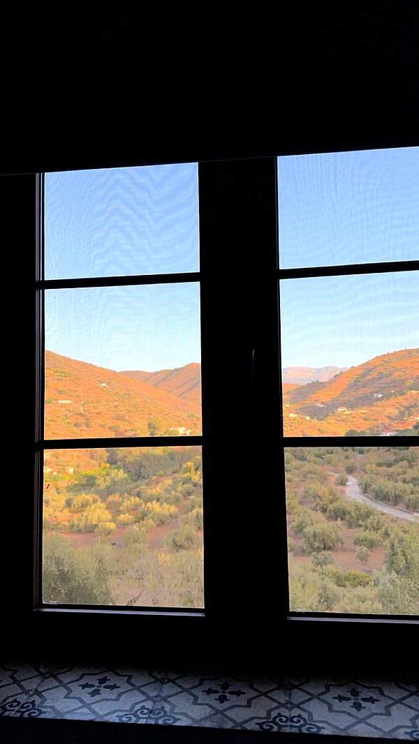 mathilda_bergs image ~ Altpins