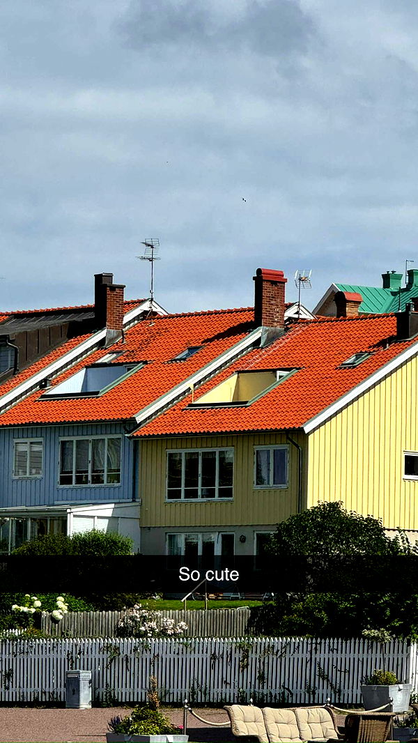 mathilda_bergs image ~ Altpins