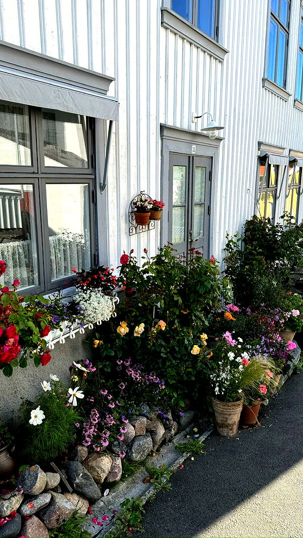 mathilda_bergs image ~ Altpins